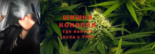 тгк Новодвинск