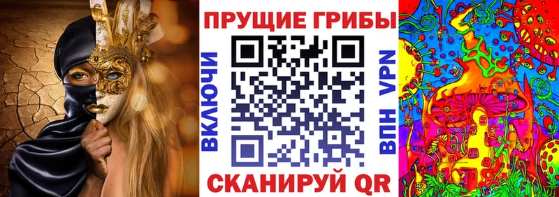 цены   Змеиногорск  блэк спрут ссылки  Галлюциногенные грибы Magic Shrooms 